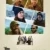 The Four Seasons Small Poster